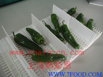 食品專用輸送帶_產品(價格、廠家)信息_中國食品科技網