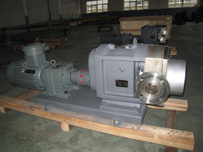 普利施65PLST6-10 日用化工轉子泵,甘油、化妝品料漿輸送泵 價格優惠歡迎咨詢圖片_高清圖_細節圖-江蘇普利施泵業 -