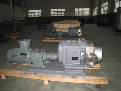 普利施65PLST6-10 日用化工轉(zhuǎn)子泵,甘油、化妝品料漿輸送泵 價格優(yōu)惠歡迎咨詢圖片_高清圖_細節(jié)圖-江蘇普利施泵業(yè) -